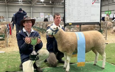 2024 Australian Sheep and Wool Show