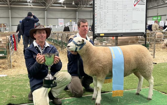 2024 Australian Sheep and Wool Show