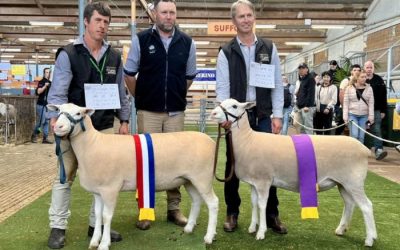 2024 Royal Adelaide Show