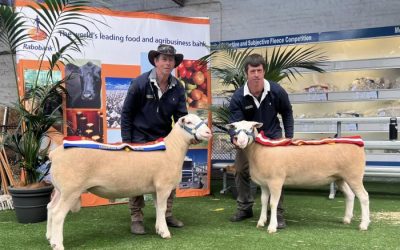 2024 Royal Adelaide Show – Interbreed Judging