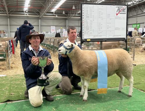 2024 Australian Sheep and Wool Show