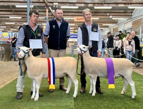 2024 Royal Adelaide Show