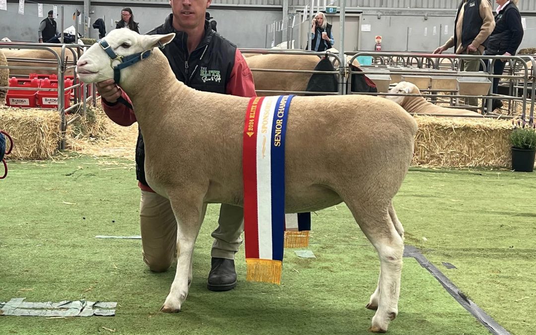 2024 Elite Show & Sale – Bendigo